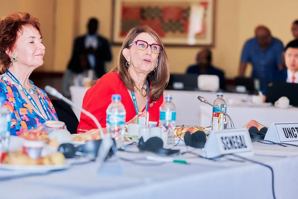 Professional Conference Organising & State Protocol